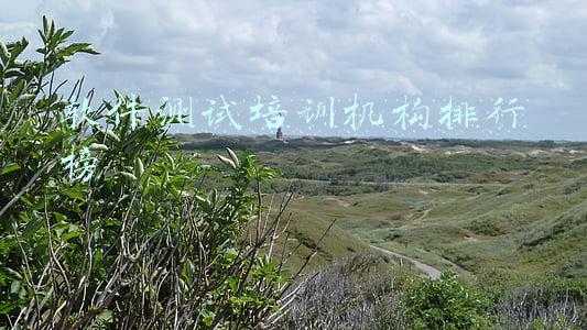 国内软件测试公司排名(11月，A股软件开发10大龙头最新市值、估值，建议收藏)