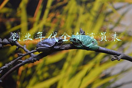 创业年代全部演员表