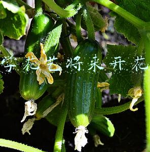 想学花艺将来开花店