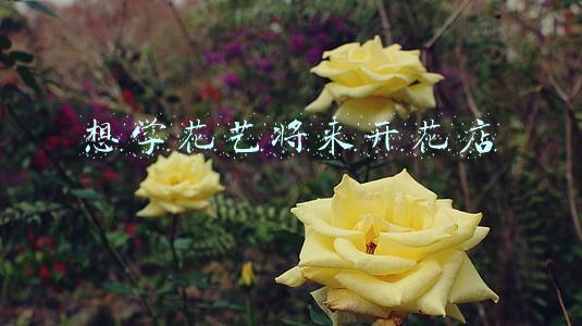 想学花艺将来开花店