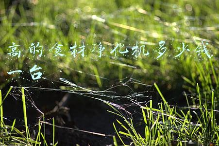 新一代食材净化机(小米有品小盾食材消毒净化机：病从口入，为每一口食材把好关)