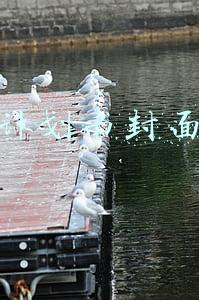 创业计划书封面模板下载(科技范儿——创业商业计划书PPT模板，赠送90个精品图标)
