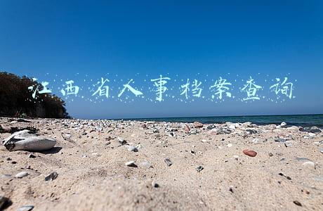 江西省人事档案查询
