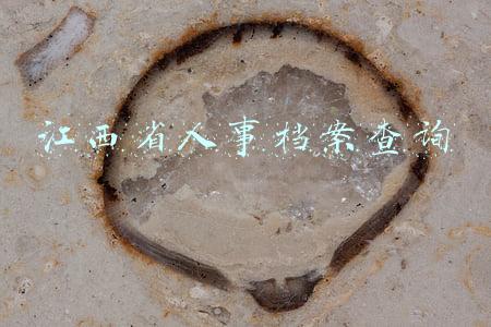 江西省人事档案查询