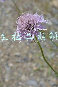 教你拉二胡(「凡人故事」8岁学艺，坚持几十年，铜川这位大叔教你如何正确学二胡)