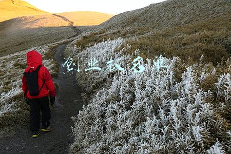 创业板名单