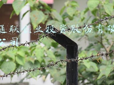 通联创业投资股份有限公司