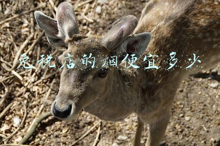 免税店的香烟价格-免税店的香烟价格跟外面一样