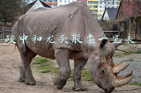 碳中和龙头股票一览表2021年(碳中和概念股大反弹，这些龙头还能继续“各领风骚”吗？)