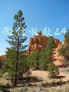 畅行花(80后欠债人)