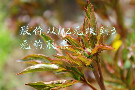 股价从112元跌到3元的股票