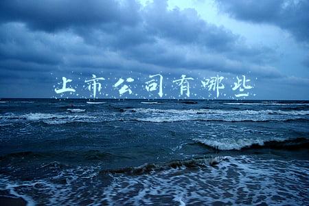 上市公司有哪些