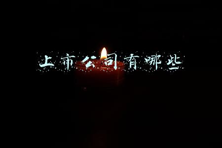 上市公司有哪些