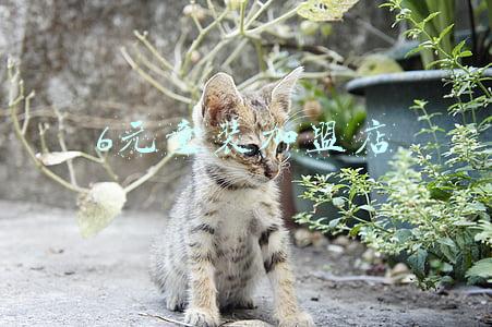 6元童装加盟店