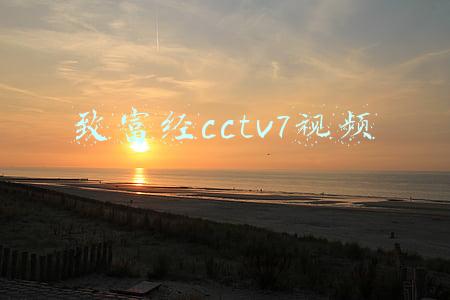 致富经cctv7视频