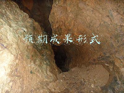 预期成果形式