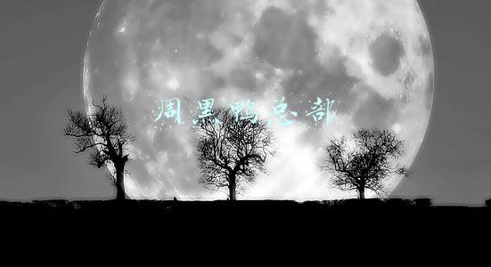 周黑鸭总部在哪里(周黑鸭业绩连续下滑三年，去年其净利润下降超6成)
