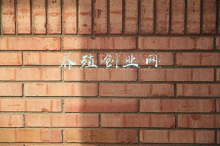 养殖创业网