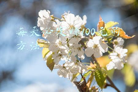 每天必定赚100元的方法介绍(教你一个方法，每天只需10分钟，让你轻松赚到100块)