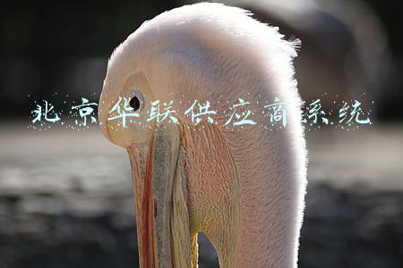 北京华联供应商系统