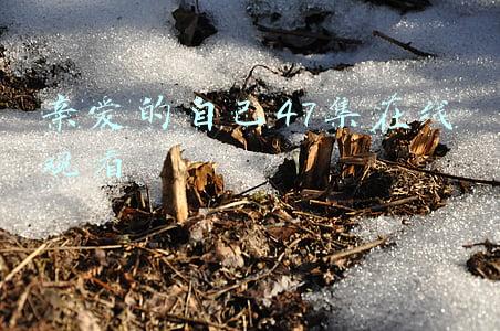 亲爱的自己47集在线观看