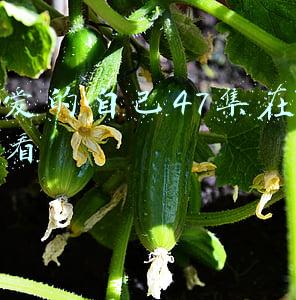 亲爱的自己电视剧免费观看全集完整版19集(《亲爱的自己》里三对恋人怎么没一个好人？)