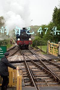 亲爱的艾尔莎在线观看(小三住进原配家，这段100年前的三角恋到底多“狗血”？)