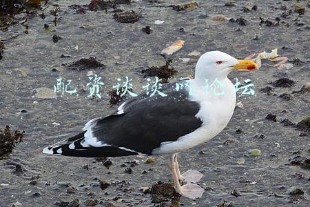 配资谈谈网论坛
