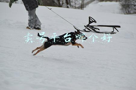 卖号平台哪个好