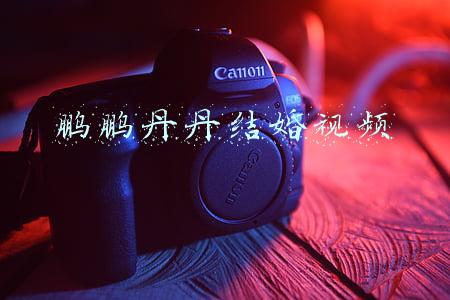 鹏鹏和丹丹结婚的视频(鹏鹏和丹丹来县城置办结婚新衣，他们幸福而又甜蜜)
