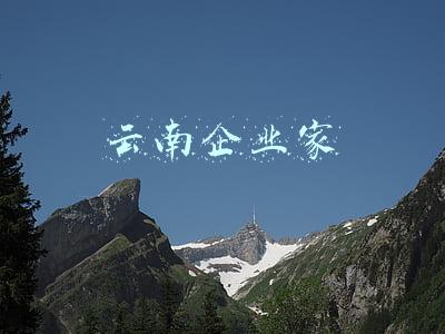云南企业家协会会长(云南民营经济高质量发展峰会在昆举行)
