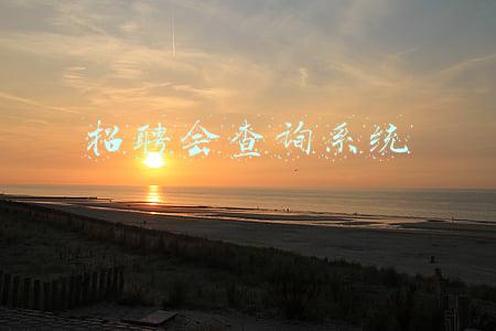 招聘会查询系统