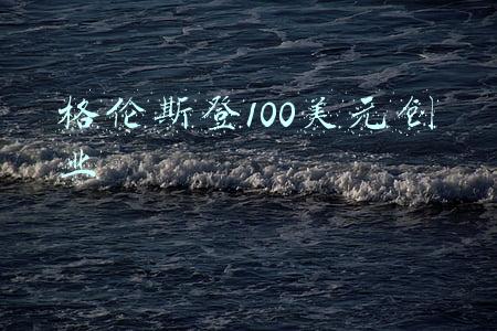 格伦100美元赚100万(身家22亿美元的富豪，挑战从0创业，用100元起家90天创办百万企业)