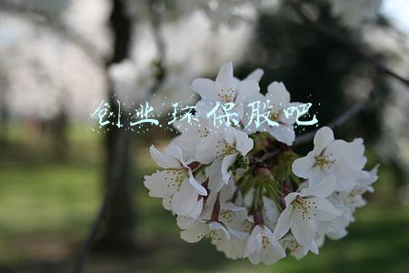 创业环保股吧东方财富网(扫描大概率涨停股（2015-10)