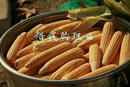借钱的理由