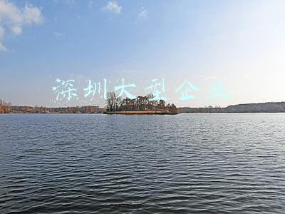 深圳大型企业