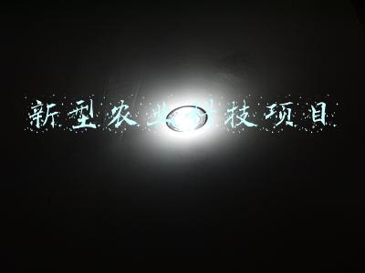 新型农业科技项目