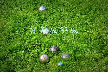 轩哥破解版