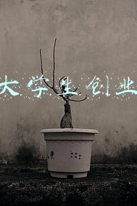安徽大学生创业贷款条件申请及流程(休宁县念好“三字诀”做好创业担保贷款工作)