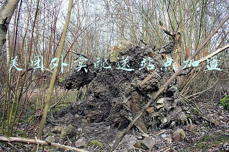 美团加盟商配送站点(美团外卖成立骑手服务部，联合全国2200家餐厅推骑手专属折扣餐)