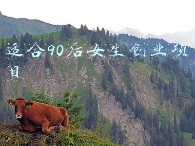 适合90后女生创业项目