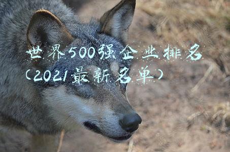 世界500强企业排名(2021最新名单)