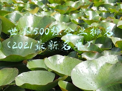世界500强企业排名(2021最新名单)