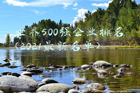 世界500强企业排名(2021最新名单)