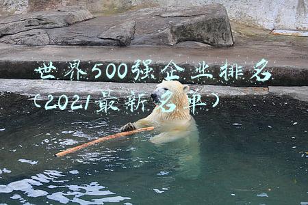 世界500强企业排名(2021最新名单)