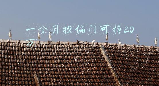 一个月捞偏门可挣20万
