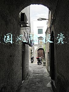 中国风险投资网网骗子(芒格：对中国企业做了很多投资，在中国投每一块钱都更有优势)