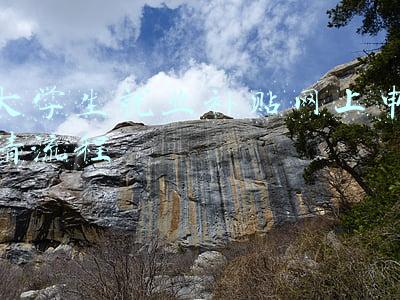 大学生就业补贴网上申请流程