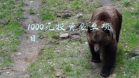 2000元创业项目(松江新城今年总投资额近2000亿元，一批重大项目集中开工)