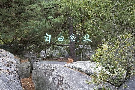 自由创业者交保险怎么办(农民有营业执照，缴纳社保25年划算吗？)
